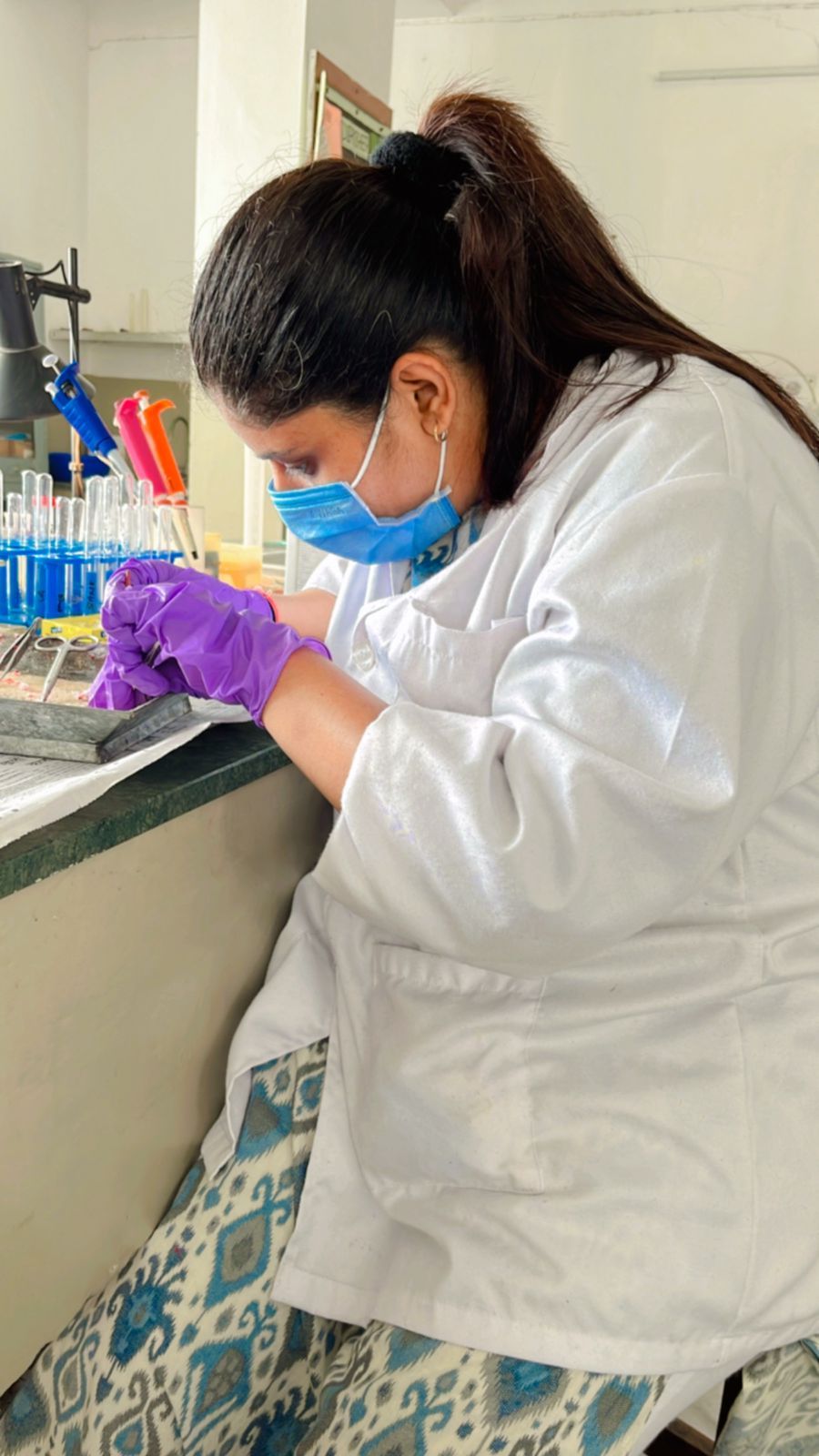 भूमिका सैनी को लाइफ साइंस में पीएचडी की उपाधि।