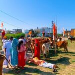 श्री खांडल विप्र महासभा की ओर से परशुराम गो महायज्ञ।